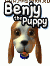 Benjy The Puppy 3D
