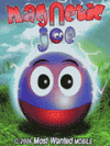 Magnetic Joe